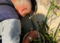 La Municipalidad de Posadas continúa con los operativos de prevención del dengue