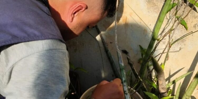 La Municipalidad de Posadas continúa con los operativos de prevención del dengue