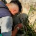 La Municipalidad de Posadas continúa con los operativos de prevención del dengue