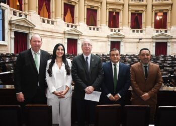 Diputados misioneros llevaron al Congreso el rechazo a una tercera casilla de peaje sobre la Ruta 12