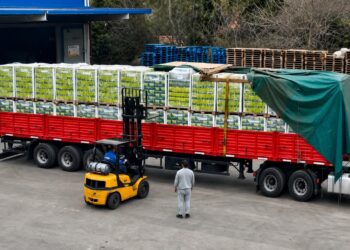 Yerba mate misionera concretó su primer venta a una cadena nacional de supermercados