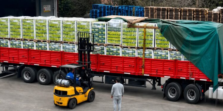 Yerba mate misionera concretó su primer venta a una cadena nacional de supermercados