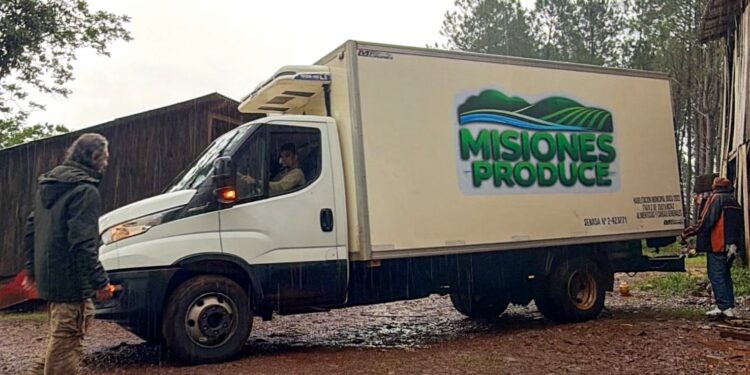 Misiones Produce: La fuerza y el potencial de las chacras que vuelve a alimentar a Misiones