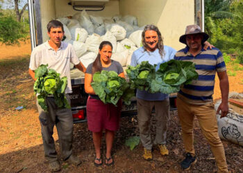 Misiones Produce: un modelo de desarrollo con producción de alimentos y arraigo rural