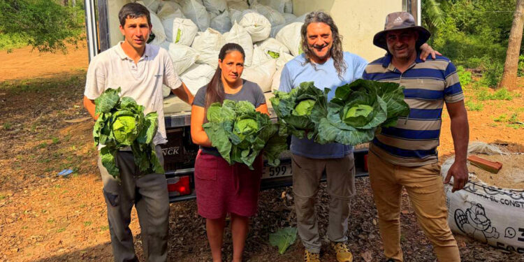 Misiones Produce: un modelo de desarrollo con producción de alimentos y arraigo rural