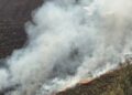 Incendios: cerca de 80 hectáreas afectadas movilizaron a Bomberos policiales en distintos puntos de Misiones