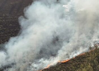 Incendios: cerca de 80 hectáreas afectadas movilizaron a Bomberos policiales en distintos puntos de Misiones