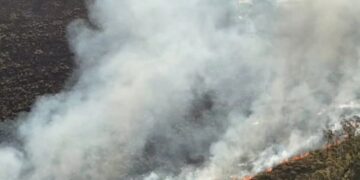 Incendios: cerca de 80 hectáreas afectadas movilizaron a Bomberos policiales en distintos puntos de Misiones