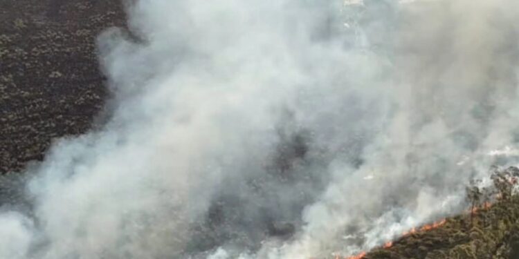 Incendios: cerca de 80 hectáreas afectadas movilizaron a Bomberos policiales en distintos puntos de Misiones
