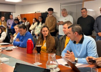 Municipalización de Terciados Paraíso: vecinos llevaron el planteo a Diputados y pedirán audiencia a Passalacqua