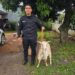 Cabra en fuga: un rescate policial que evitó un accidente en pleno centro de Oberá