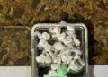 Detuvieron a un vendedor de drogas con 17 dosis de cocaína en Posadas