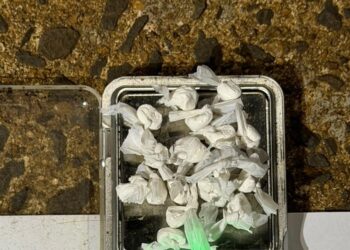 Detuvieron a un vendedor de drogas con 17 dosis de cocaína en Posadas