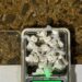 Detuvieron a un vendedor de drogas con 17 dosis de cocaína en Posadas