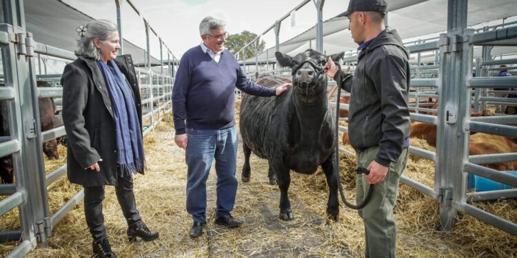 “Esperamos una respuesta positiva del Senasa al pedido que hizo la Coprosa por la Resolución 201”