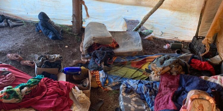 Alerta por trabajo infantil: intervención del Ministerio de Trabajo en Colonia Esmeralda