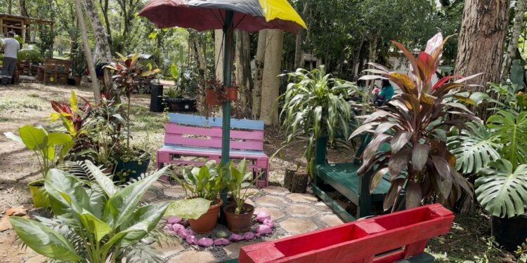 Eldorado suma un nuevo espacio para disfrutar de la naturaleza
