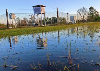 Seis décadas de memoria climática: la Estación Agrometeorológica del INTA Cerro Azul sostiene una historia clave para el agro