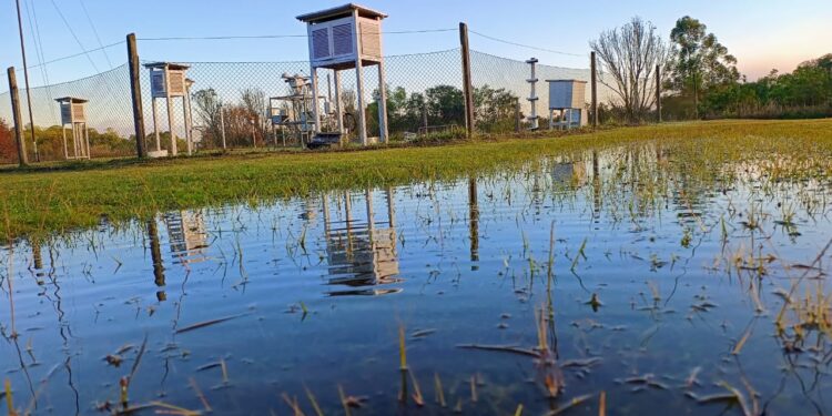 Seis décadas de memoria climática: la Estación Agrometeorológica del INTA Cerro Azul sostiene una historia clave para el agro