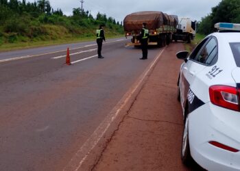 Un camión quedó varado sobre la Ruta 12 y la Policía asiste el tránsito en la zona