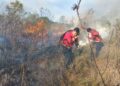 Bomberos combaten un frente de fuego de 200 metros en la Reserva Federal Campo San Juan