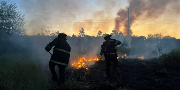 Bomberos combaten un frente de fuego de 200 metros en la Reserva Federal Campo San Juan