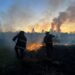 Bomberos combaten un frente de fuego de 200 metros en la Reserva Federal Campo San Juan