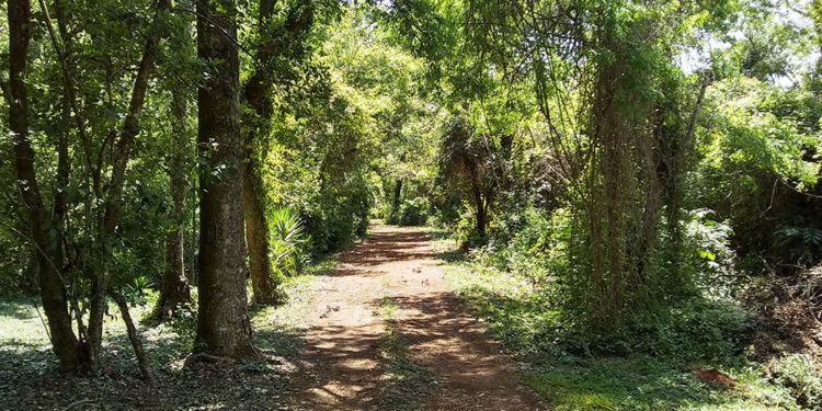 Se viene la gran final del Campeonato Misionero de MTB en Apóstoles