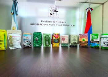Aliaza estratégica: 14 marcas misioneras unen fuerzas para desembarcar en Nueva Zelanda