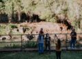 Misiones forrtalece al turismo en temporada baja e invierte en un Fondo Anticíclico de Demanda Turística