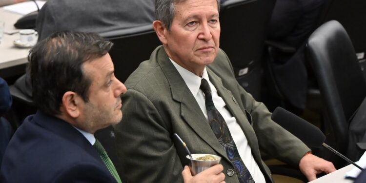 Ley de Discapacidad: Herrera Ahuad logró incorporar al dictamen medidas clave para garantizar el financiamiento y sostener el sistema