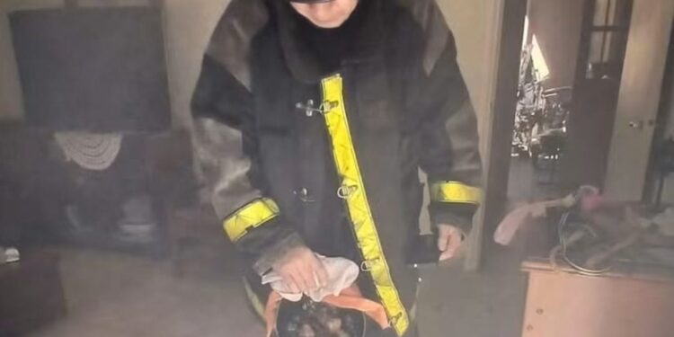 Posadas: Se olvidó una olla sobre la hornalla encendida y los Bomberos intervinieron antes de que se incendiara la casa