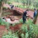 Adolescente al volante: resultó lesionado tras despistar con una camioneta y caer a un curso de agua en Puerto Iguazú