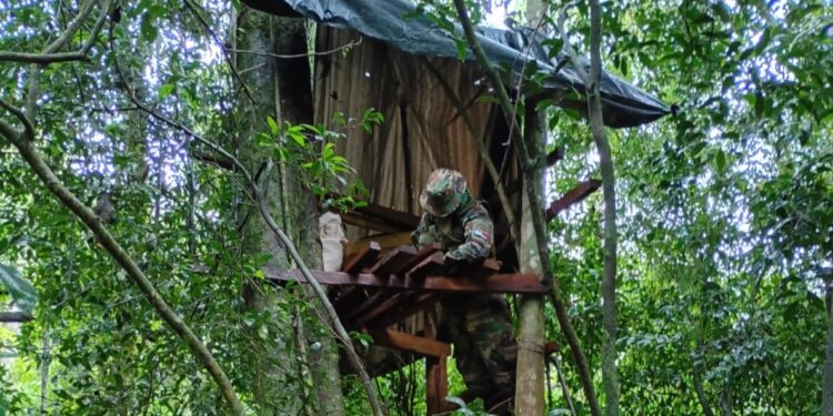 Guardaparques realizaron operativos de prevención y control en la Reserva de Biosfera Yabotí