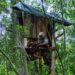 Guardaparques realizaron operativos de prevención y control en la Reserva de Biosfera Yabotí