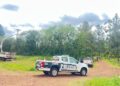 Dos caballos que eran llevados por un adolescente murieron electrocutados en Itacaruaré