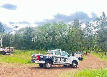 Dos caballos que eran llevados por un adolescente murieron electrocutados en Itacaruaré