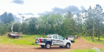 Dos caballos que eran llevados por un adolescente murieron electrocutados en Itacaruaré