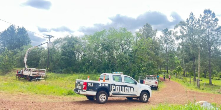 Dos caballos que eran llevados por un adolescente murieron electrocutados en Itacaruaré