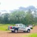 Dos caballos que eran llevados por un adolescente murieron electrocutados en Itacaruaré