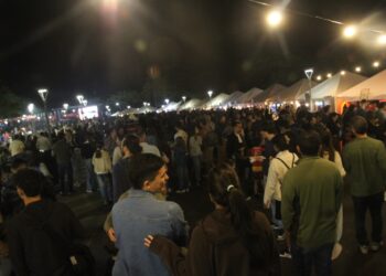Brilla Sarita: Ventas, shows y una propuesta que crece cada año