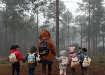 Pynandi abrió las admisiones 2027: una propuesta educativa que conecta el aprendizaje con el arte, la naturaleza y la vida