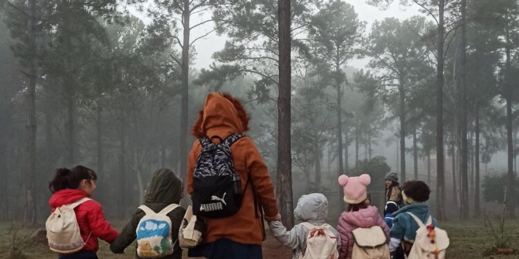 Pynandi abrió las admisiones 2027: una propuesta educativa que conecta el aprendizaje con el arte, la naturaleza y la vida