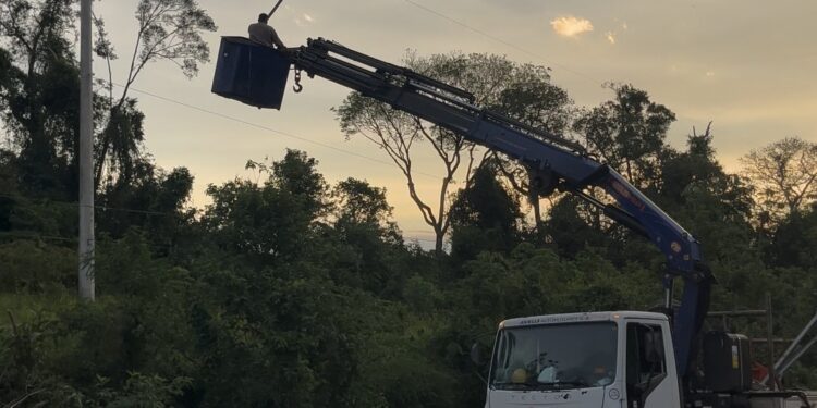 Zonas rurales impactadas por temporal: continúa la reposición de líneas eléctricas afectadas